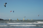 Belgische kust
