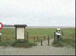 Belgische kust