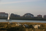 Belgian coast