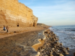 Coastal landscape