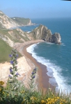 Coastal landscape