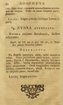 Hydrozoa (hydroids)