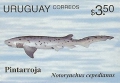Hexanchiformes