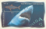 Lamniformes
