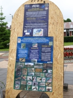 PESI outreach activities