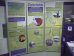 Buggenhout6