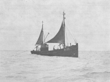Desnerck (1974, fig. 015), author: Anoniem in Desnerck, G. & R. (1974)