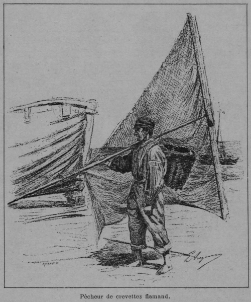 Auguin (1898, fig. 05)