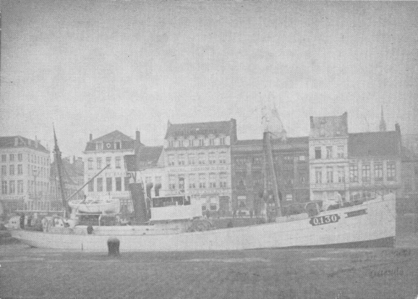 Desnerck (1974, fig. 106)