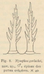 Fauna & flora van de zee