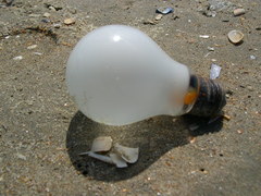 SWG Rariteitenkabinet