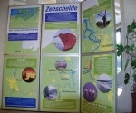 infopaneel zeeschelde