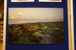 foto scheldeschorren
