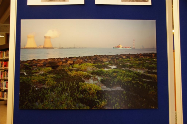 foto scheldeschorren