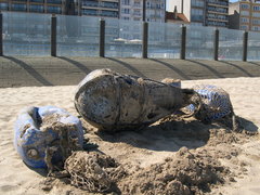 SWG Rariteitenkabinet