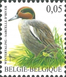 Aves (birds)