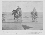 <B>Loontiens, C.</B> (1930). Een eeuw zeevisscherij te Oostende. Hof’s Boek- en Steendrukkerij: Oostende. 32 pp.