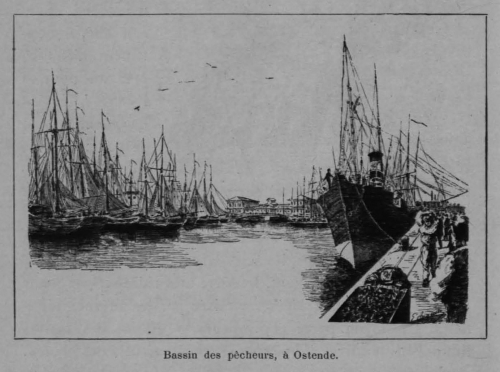 Auguin (1898, fig. 16)