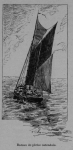 Auguin (1898, fig. 18)