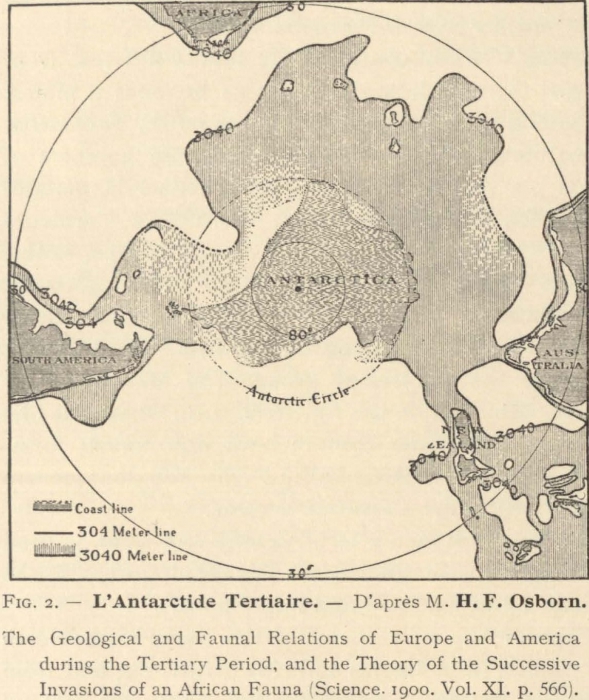 Dollo (1904, fig. 2) Dollo (1904, fig. 2)