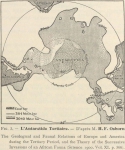 Dollo, L. (1904). Poissons. Résultats du Voyage du S.Y. Belgica en 1897-1898-1899 sous le commandement de A. de Gerlache de Gomery: Rapports Scientifiques (1901-1913). Buschmann: Anvers, Belgium. 240, 6 text fig., 12 pls. pp.