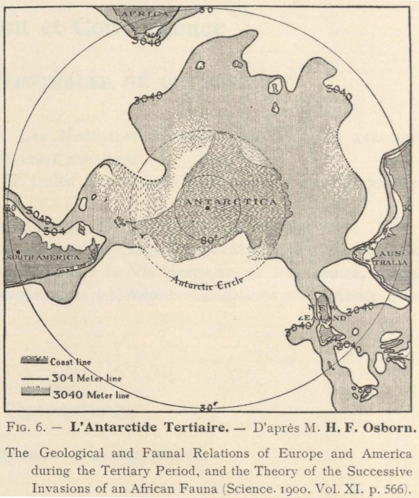Dollo (1904, fig. 6) Dollo (1904, fig. 6)