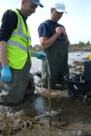 Workshop on Measuring BD and EF in Estuarine Systems