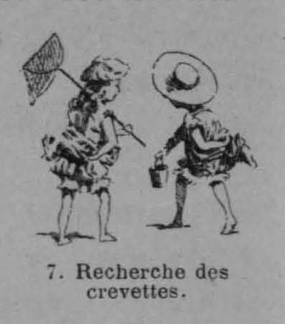 Auguin (1899, fig. 07)