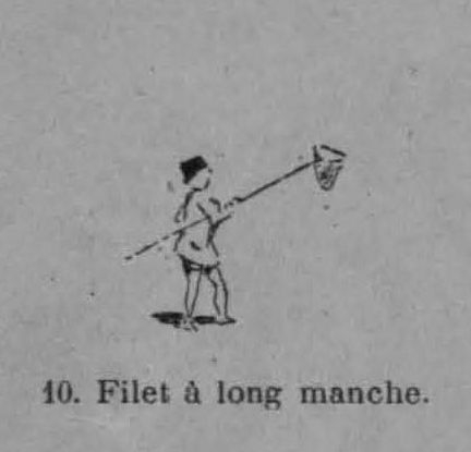 Auguin (1899, fig. 10)