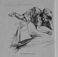 Auguin (1899, fig. 16)