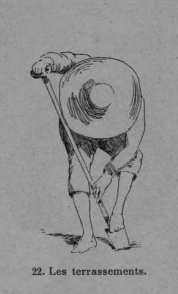 Auguin (1899, fig. 22)