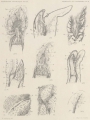 References