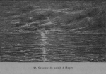 Auguin (1899, fig. 29)
