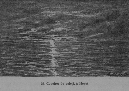 Auguin (1899, fig. 29)