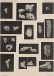 Zuidpoolexpeditie 1897-1899