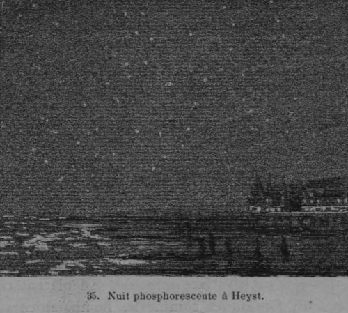 Auguin (1899, fig. 35)