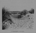 Auguin (1899, fig. 51)