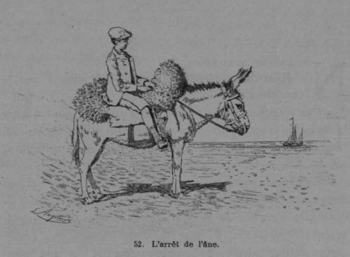 Auguin (1899, fig. 53)