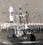 N.49 (construction 1982) 