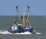 Tijdslijn 
