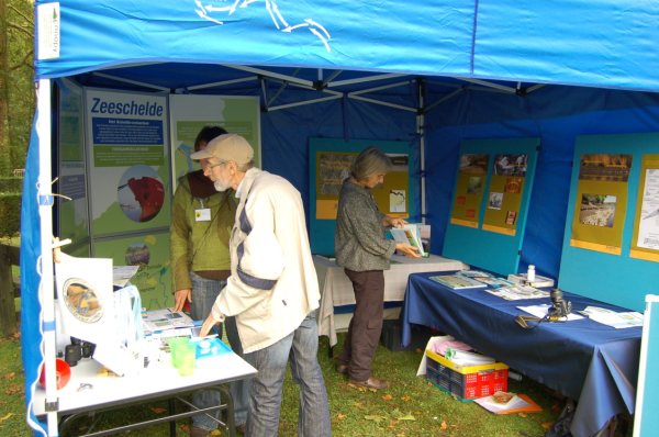infostand2
