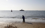 Scheldelessen