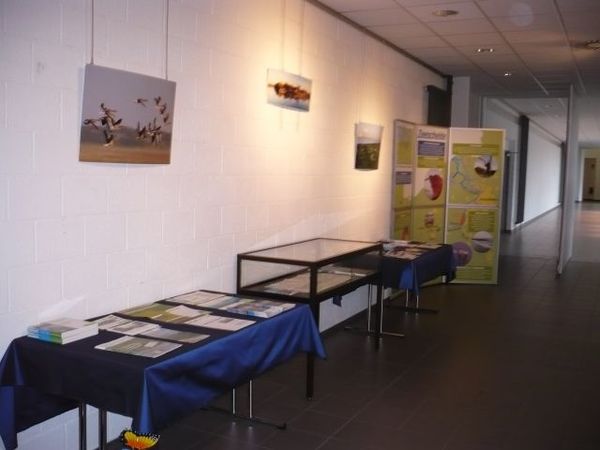 overzicht foldertafels