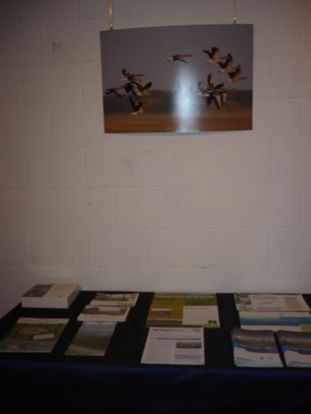foto en folders