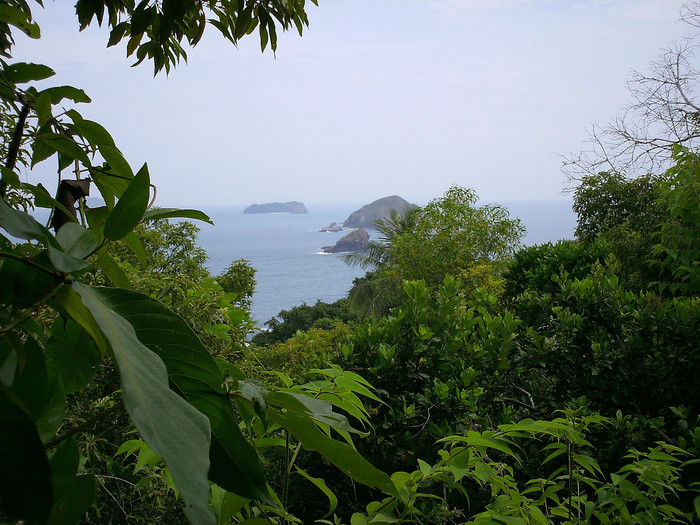 Gual from Pulau Rawa Gual from Pulau Rawa