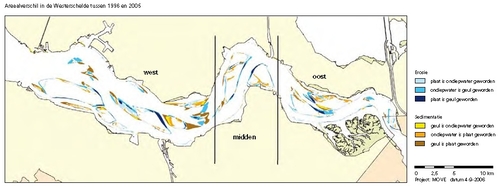 Areaalverschil in de Westerschelde tussen 1996 en 2005.