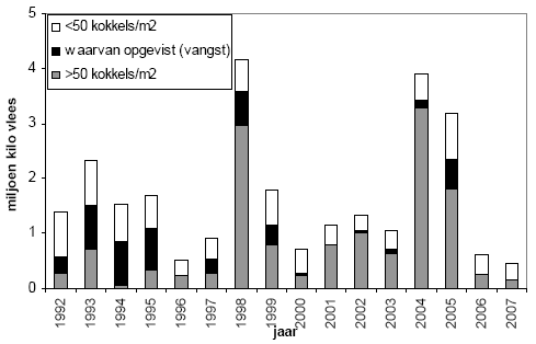 Septemberschatting van de kokkelbiomassa in de Westerschelde in de periode 1992-2006