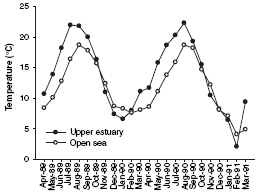 Maandelijkse oppervlaktewater temperaturen in de open zee en het boven estuarium