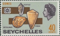 Conus betulinus, Conus textile & Conus virgo, author: Collection VLIZ