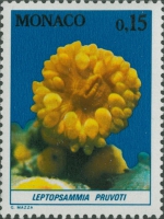 Neteldieren